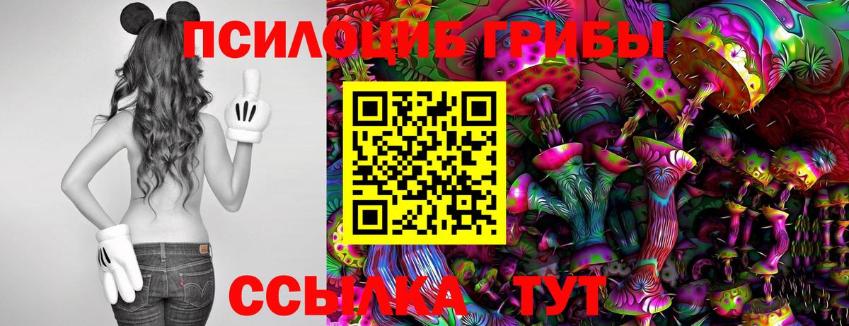 Рязань  Псилоцибиновые грибы ЛСД  Вход с VPN  наркота  Псилоцибиновые грибы мухоморы 